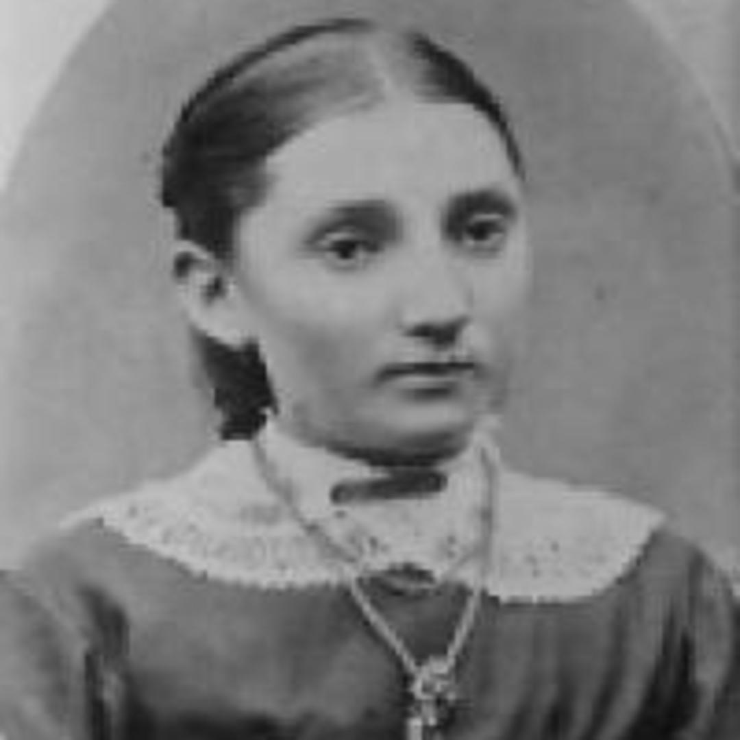 Clarissa Paulina Pettingill (1851 - 1909) Profile